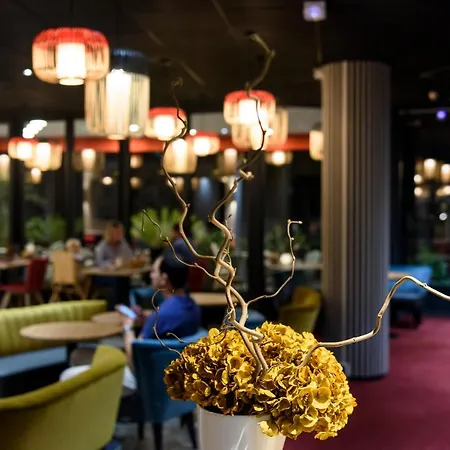 Western Montecristo-bastia